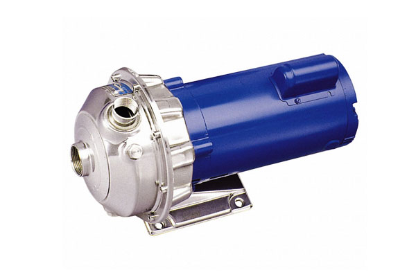 1.4542 Stainless Steel Pump