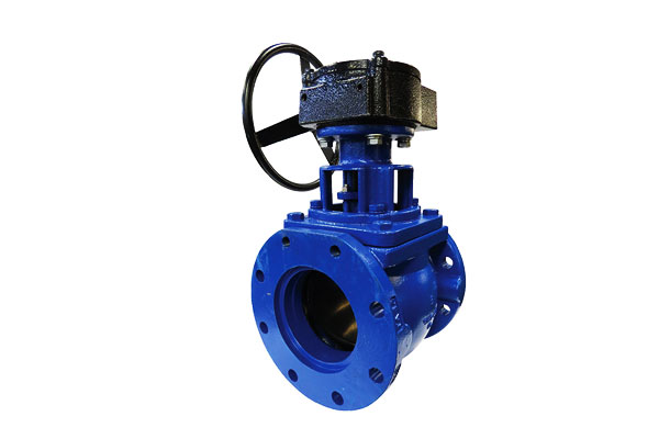 Eccentric Plug Valve