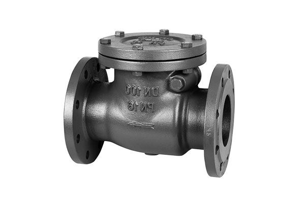 Grey Iron EN-GJL-250 Swing Check Valve
